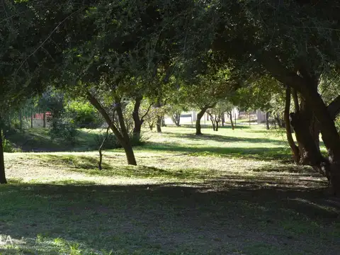 Terreno en Venta 16  mts Frente