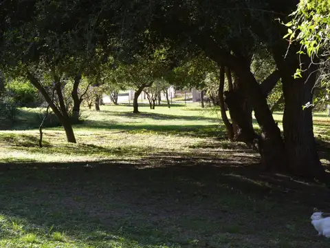 Santa Rita 900
