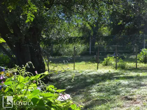 Terreno en Venta en Centro, USD 28.000