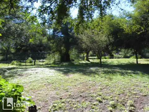 Terreno en Venta 62  mts Fondo