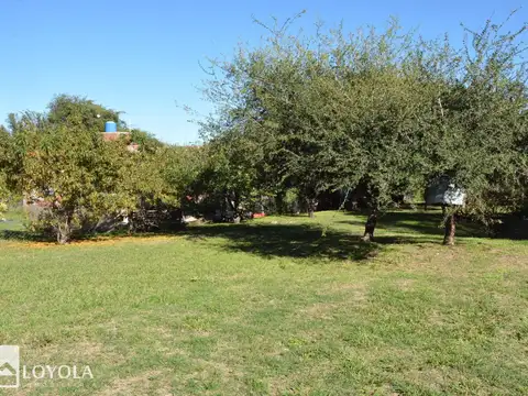 Santa Rita 900