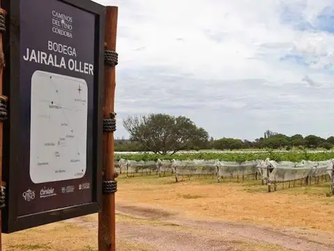 CASA BODEGA 866 M2 -  VIÑEDO 11 HECTAREAS