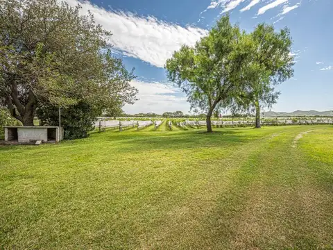 CASA BODEGA 866 M2 -  VIÑEDO 11 HECTAREAS