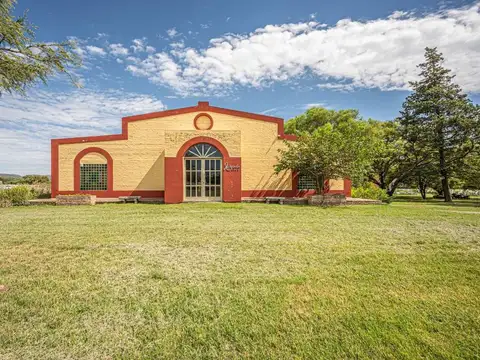 CASA BODEGA 866 M2 -  VIÑEDO 11 HECTAREAS