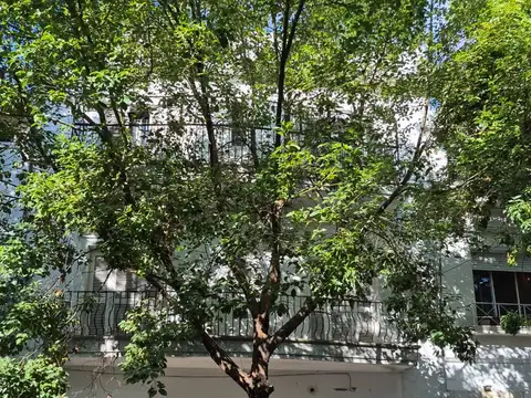 Depto Tipo Casa en Venta 73 años