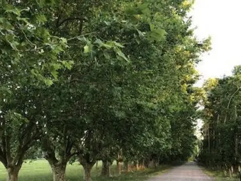 Terreno en Venta de 3697,0 m2