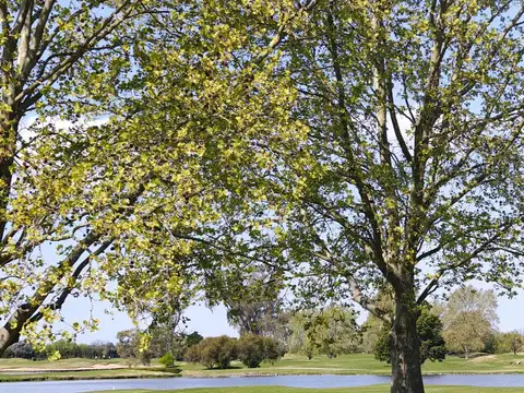 Terreno en Venta de 1214,0 m2