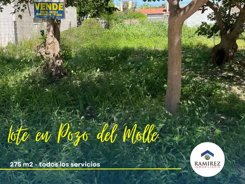 LOTE EN VENTA EN POZO DEL MOLLE