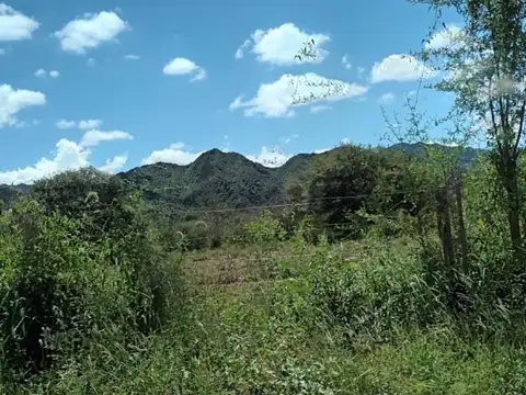 Terreno en Venta 198  mts Fondo
