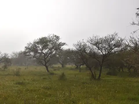 Terreno en Venta 10  mts Fondo