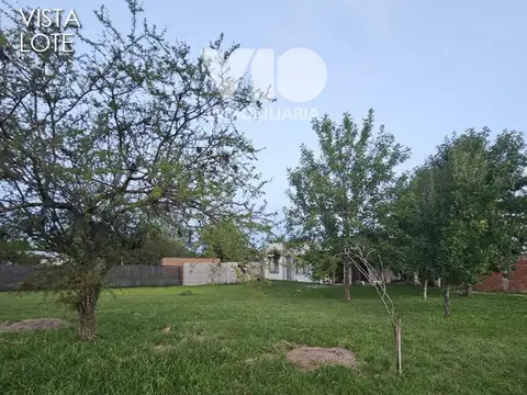 Tiempo Libre, Ejido Colón