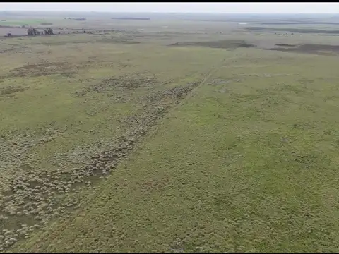 1000 hectareas ganaderas sobre ruta