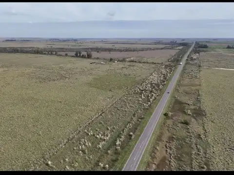 Ruta 65