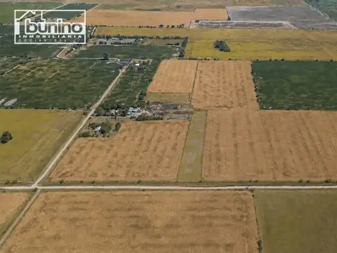 Camino rural