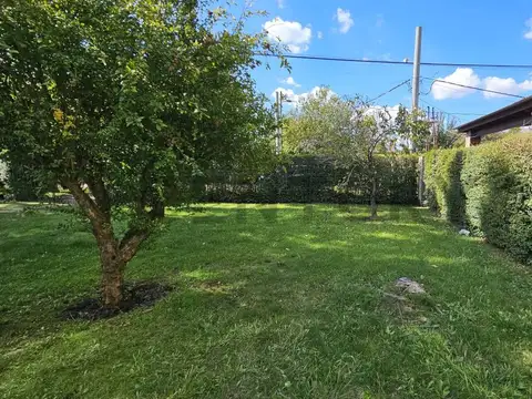 Las Magnolias y Las Casuarinas