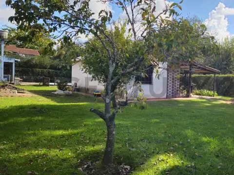 Las Magnolias y Las Casuarinas