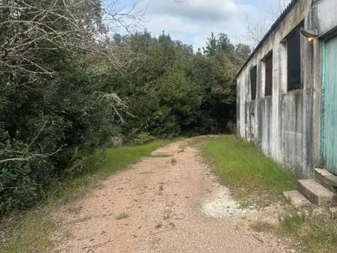 Cno la
