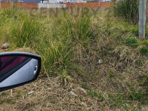 Terreno en Venta en Maximo Paz, USD 15.000