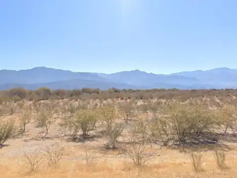 Campo en venta - 400 Hectáreas - Andalgalá