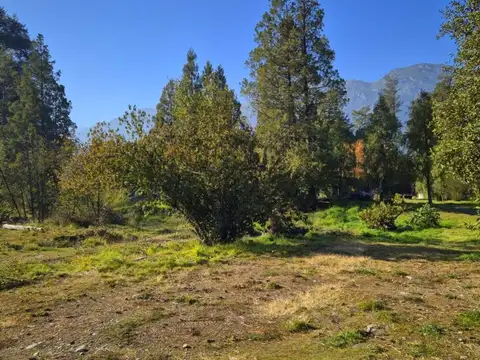 Terreno en Venta 20  mts Fondo