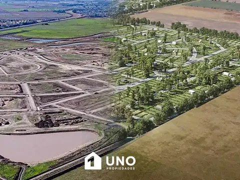 Cinco Lagos - Terreno.