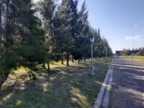 Terreno en Venta de 780,0 m2