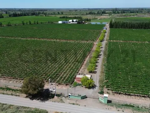 quiroga , Piso 0