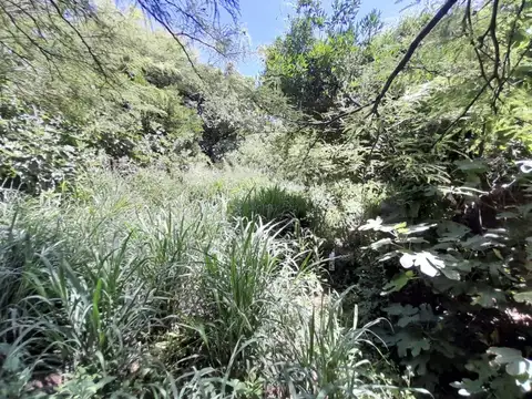 Terreno en Venta, FOS 80