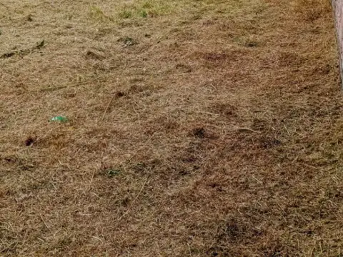 Terreno en Venta 30  mts Fondo
