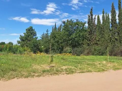 Terreno en Venta en Toay, USD 50.000