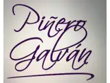 PINERO GALVAN Propiedades