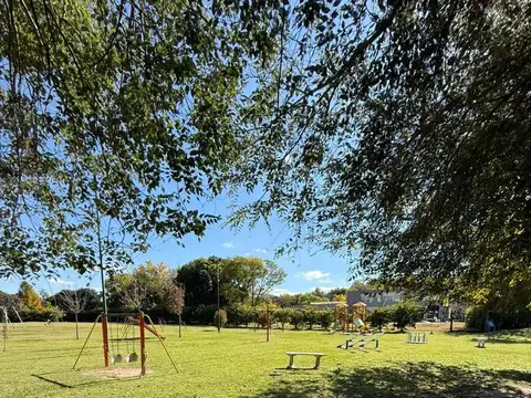 CAMPIÑAS DEL SUR  0