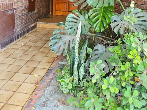José Pereyra Lucena 400