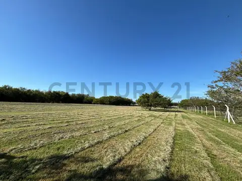 Terreno en Venta 200  mts Fondo