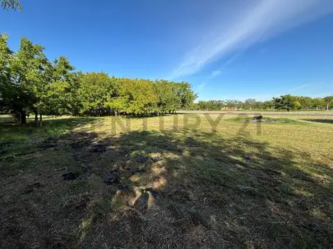 146 e 454 y 446