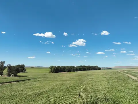 851 Has. Campo Agrícola en Tandil