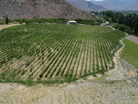 Finca en  Venta en Cachi