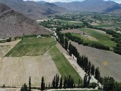 Finca en Venta