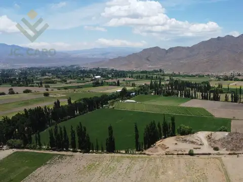 Finca en  Venta en Cachi