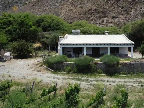 Finca en Venta