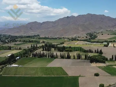 Finca en Venta