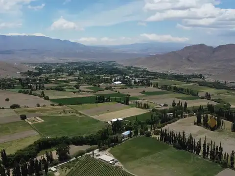 Finca en Venta