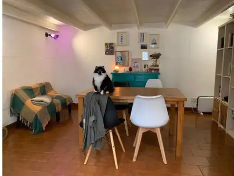 Dr L Belaustegui 600 600