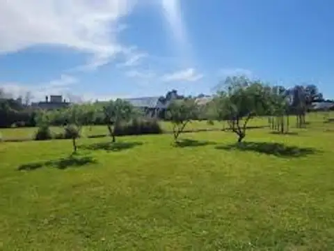 Terreno en Venta de 400,0 m2