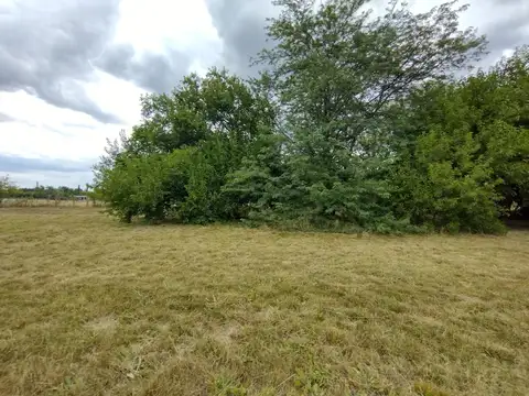 Terreno en Venta de 3000,0 m2