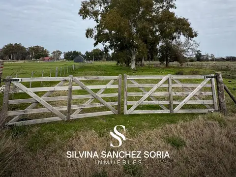 Terreno en Venta de 8000,0 m2
