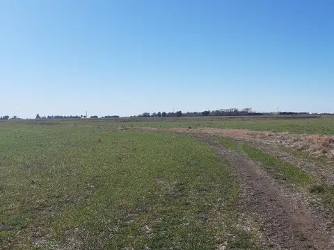 CAMPO  en FIGHIERA .
