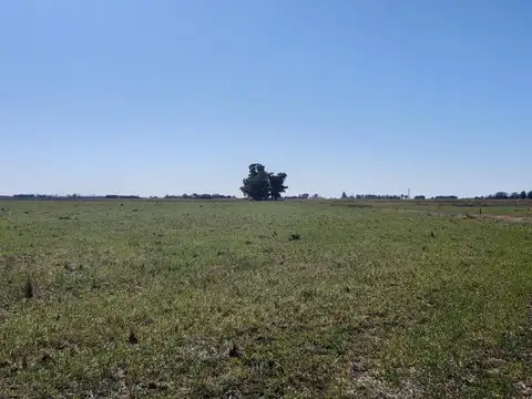 CAMPO  en FIGHIERA .