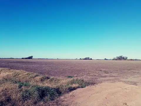 VENTA - CAMPO 52 HECTAREAS- FIGHIERA