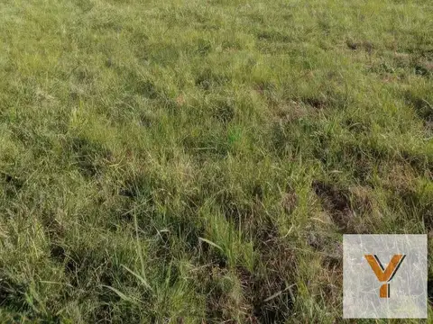 Terreno en Venta 42  mts Fondo